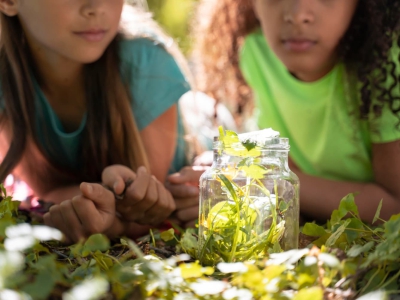 A importância da educação ambiental