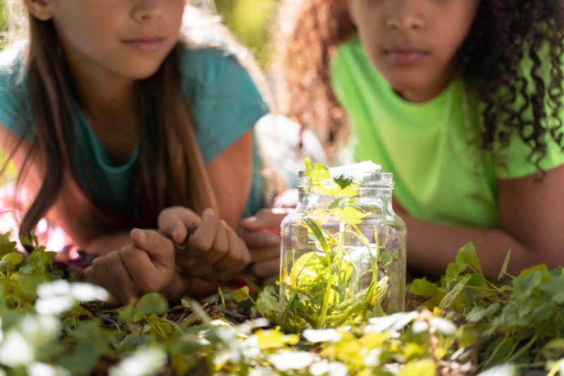 A importância da educação ambiental