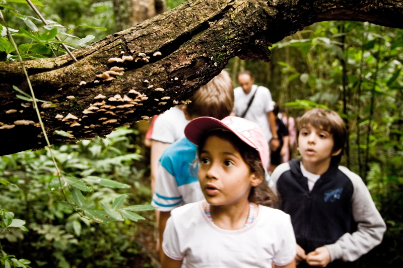 Educação Ambiental