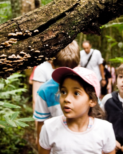 Educação Ambiental